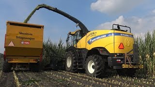 Loonbedrijf Wesselink aan het mais hakselen met New Holland FR500 en Fendt (2017)