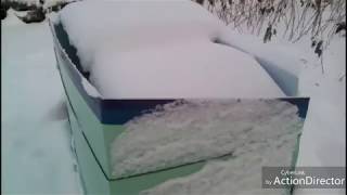 Зимовка пчел на улице под снегом / пасека зимой/ где зимуют пчёлы
