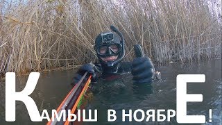 ПОДВОДНАЯ ОХОТА в густом камыше в ноябре