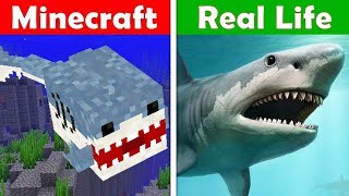 MINECRAFT SHARK ATTACK IN REAL LIFE! Minecraft vs Real Life animation