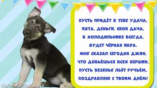Прикольное поздравление с днём рождения. Видео открытка.