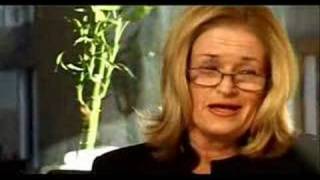 Sex Education -- WomanZone