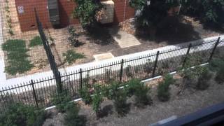 Квартира для пенсионеров в Австралии / Retirement Village in Australia