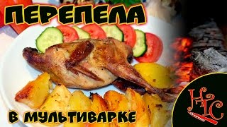 Перепела с картошкой в мультиварке.