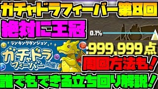 ガチャドラフィーバー第8回 立ち回り完全解説！+周回方法も！誰でも王冠 見ないと損 【パズドラ】