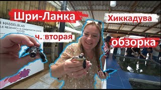 ШРИ-ЛАНКА ОТДЫХ 2020. ОБЗОРНАЯ ЭКСКУРСИЯ ИЗ ХИККАДУВА В ДЕНЬ РОЖДЕНИЯ Ч. ВТОРАЯ.