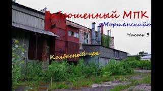 Заброшенный мясоптицекомбинат "Моршанский" часть 3, колбасный цех