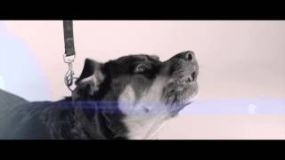 Moto ft. Aero -  Let It Go (Official Video)