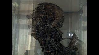 Жизнь? Расследование. Документальный фильм о проблемах наркомании