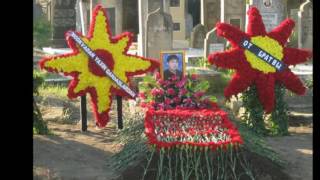 Amil Lenkeranski (Rovsen Lenkeranskinin Bratvasi) Defni