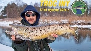 Troć Iny 2014