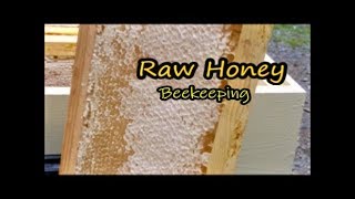 Where Does Honey Come From