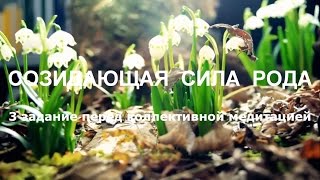 СОЗИДАЮЩАЯ СИЛА РОДА