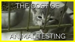 Your Tax Dollars Fund the Torture and Murder of Animals