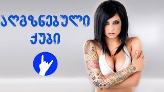 აღგზნებული ქუბი N70 (10/05)