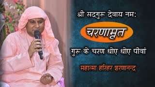 Charanamrit Ka Mahatav l Nangli Sahib l SSDN l Satsang