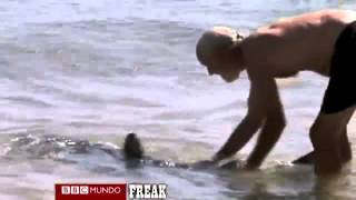 El hombre que se enfrentó con un tiburón. Heroe salva niños de mordida de tiburon.