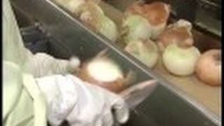 THE MAKING　（１３３）ドレッシングができるまで