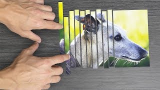 17 Amazing Science Experiments and Optical Illusions! Compilation 2019