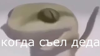 ЯЩЕРКА ФЛЕКСИТ ПОД ЛЕГЕНДАРНУЮ ПЫЛЬ