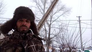 Шаман идёт!!! 22.01.2020г. СРОЧНО!!!  КОТА ЭЛЬФА ЗАБРАЛИ В ПОЛИЦИЮ.✊✊✊