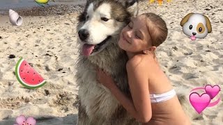 МОИ ВЫХОДНЫЕ:СОЛНЦЕ☀️МОРЕ?ПЛЯЖ?