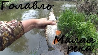 Ловля голавля на малой реке