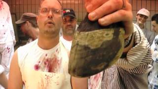 Kölner Stadtmusikanten - Fleisch & Blut