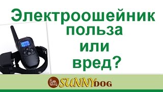 Электроошейник  Правда   польза или вред  Это орудие пыток или помощ