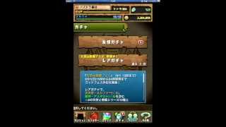 パズドラ　ゴッドフェス外伝「天使VS悪魔フェス」レアガチャ【50連 】金卵15個