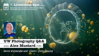 UNDERWATER PHOTOGRAPHY Q&A with Alex Mustard