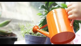 ОБ ЭТОЙ СЕКРЕТНОЙ ПОДКОРМКЕ ВЫ ТОЧНО НЕ ЗНАЛИ!