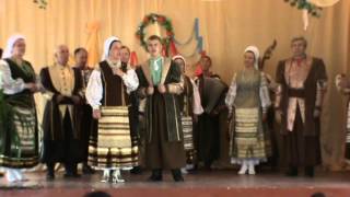 Ансамбль "Оксамит" г.Запорожье. Песня - Ой дубе ти дубе