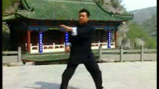 少林羅漢十三式 - Luohan Shi San Shi - Shaolin Luohan 13 Postures or Exercises - part 1