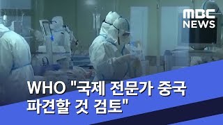 WHO "국제 전문가 중국 파견할 것 검토" (2020.02.04/뉴스투데이/MBC)