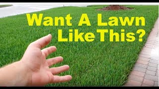 How To Fix An Ugly Lawn | For Beginners