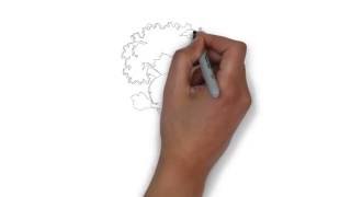 как нарисовать морковь,how to draw a carrot,cómo dibujar una zanahoria,comment dessiner une carotte