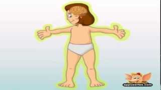 Parts of the Body - Kids Cartoon Animation Learn Series