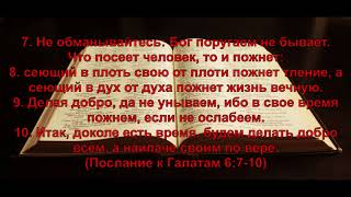 7.10.2017г  Андрей Бельмут. "Слово о пожертвовании"