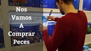 ? !! Vamos a Comprar Peces !! A Guau ?(Acuarios MB)