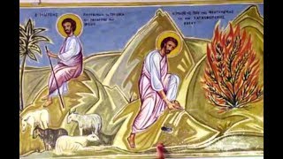 НЕОПАЛИМА КУПИНА МОНАСТИРЯ СВЯТОЇ КАТЕРИНИ (ПІВДЕННИЙ СИНАЙ)