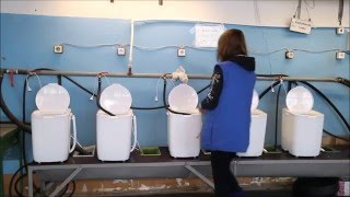 Стиральная машина Принцесса Производство Россия www.kbt24.ru