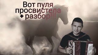 СУПЕР!!! Вот пуля просвистела. Чиж & Ко  Плюс разбор.