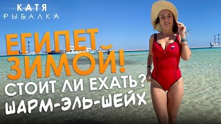 ЕГИПЕТ ЗИМОЙ! Vlog Катя Рыбалка ШАРМ-ЭЛЬ-ШЕЙХ! СТОИТ ЛИ ЕХАТЬ?! Отель Reef Oasis Blue bay! ВЛОГ!