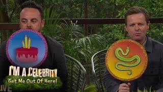 Ant vs Dec in Quiz - Snake or Cake? | I'm A Celebrity...Extra Camp