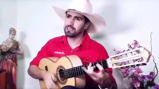 Viola Inacio Luthier em Maple Tradicional