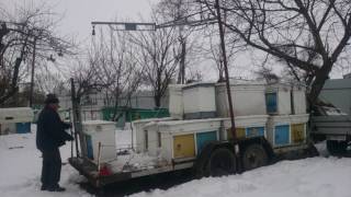 Погрузка вуликів