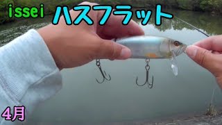 ハスフラットに想定外なヤツが…