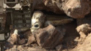Leaked Alien Body Mars Curiosity Photo! Can You Explain This To Me? 2013