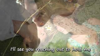 Maureen McGovern - We May Never Love Like This Again (Lyrics)
